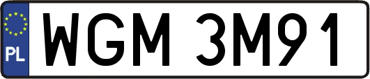 WGM3M91