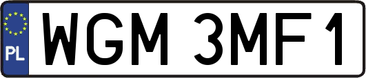 WGM3MF1