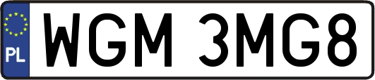 WGM3MG8