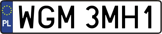 WGM3MH1