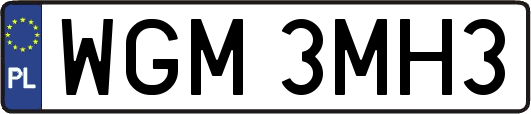 WGM3MH3