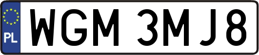 WGM3MJ8