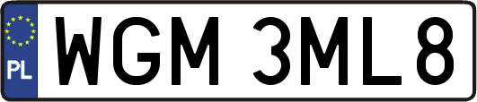 WGM3ML8
