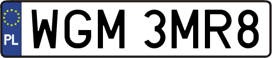 WGM3MR8