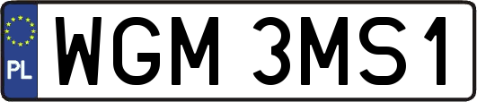 WGM3MS1