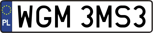 WGM3MS3