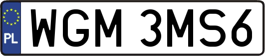 WGM3MS6
