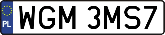 WGM3MS7