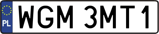 WGM3MT1
