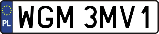 WGM3MV1