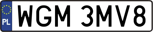WGM3MV8