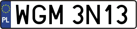 WGM3N13