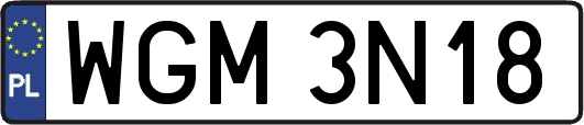 WGM3N18