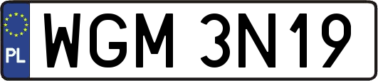WGM3N19