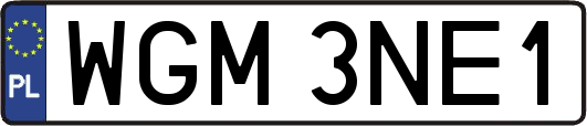 WGM3NE1