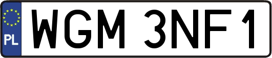 WGM3NF1