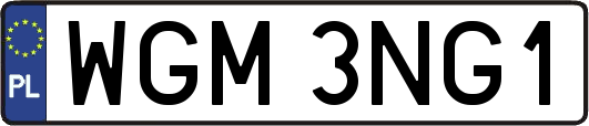WGM3NG1