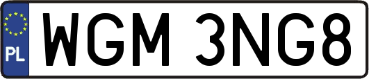 WGM3NG8