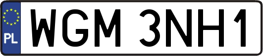 WGM3NH1