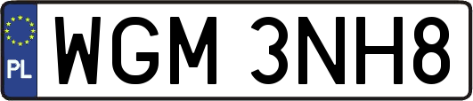WGM3NH8