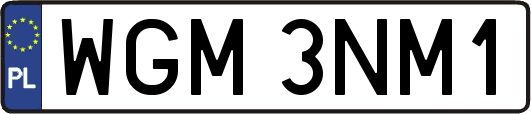 WGM3NM1