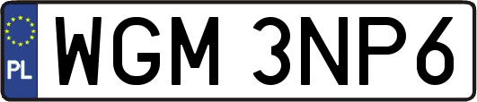 WGM3NP6