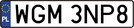 WGM3NP8