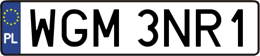 WGM3NR1
