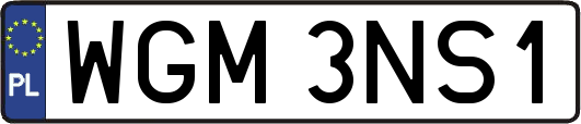 WGM3NS1