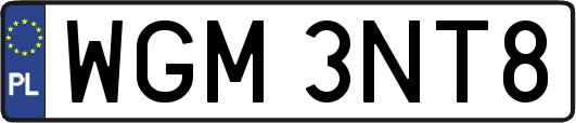 WGM3NT8