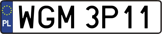 WGM3P11