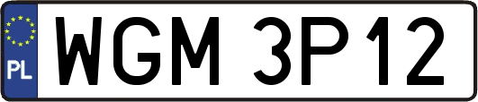 WGM3P12