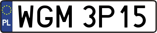 WGM3P15