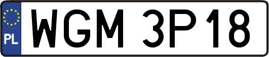 WGM3P18