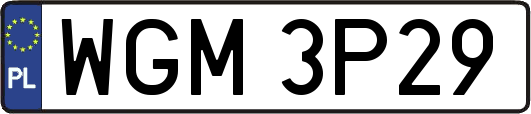 WGM3P29