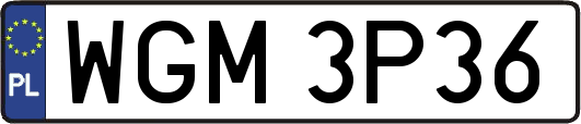 WGM3P36
