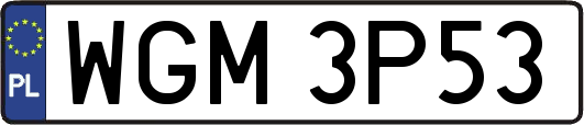 WGM3P53
