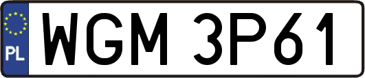 WGM3P61