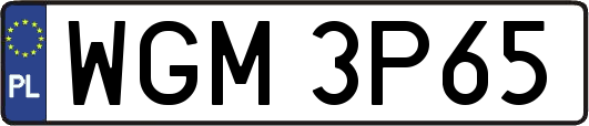 WGM3P65