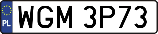WGM3P73