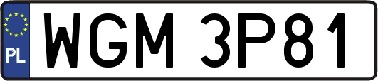 WGM3P81