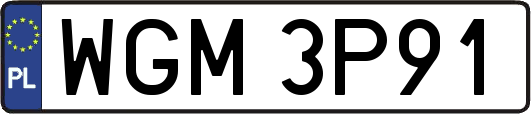 WGM3P91