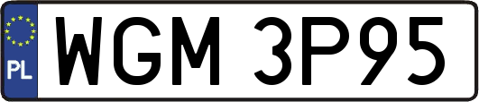 WGM3P95