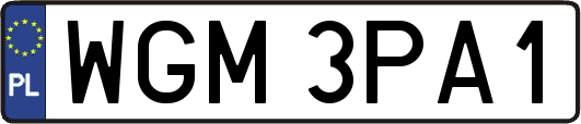WGM3PA1