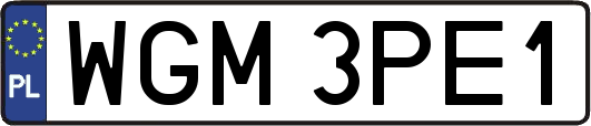 WGM3PE1