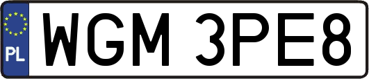 WGM3PE8