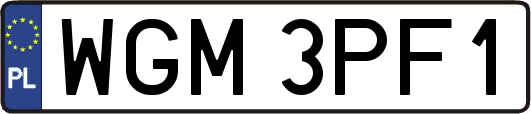 WGM3PF1