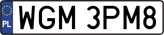 WGM3PM8