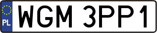 WGM3PP1