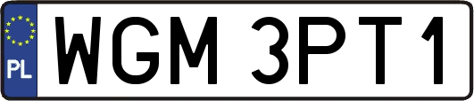 WGM3PT1